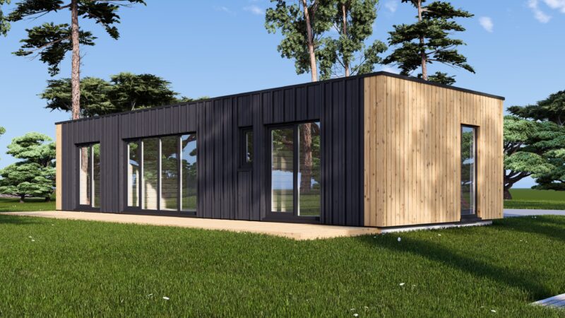Wohnhaus BERTA 1 (66 mm + Holzverschalung Isoliert), 46 m²